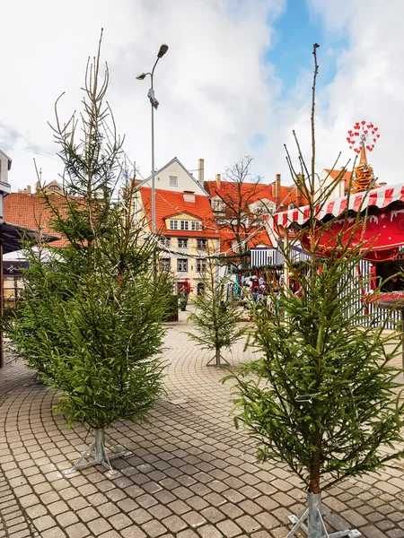 Livu square with Christmas trees in Riga old town