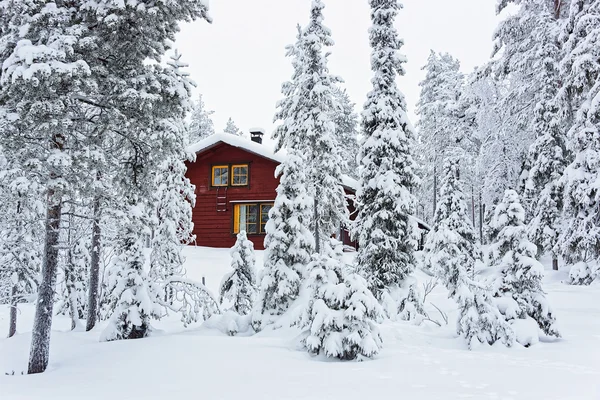 Red Cottage in the snow covered forest in Ruka in Finland in the Arctic