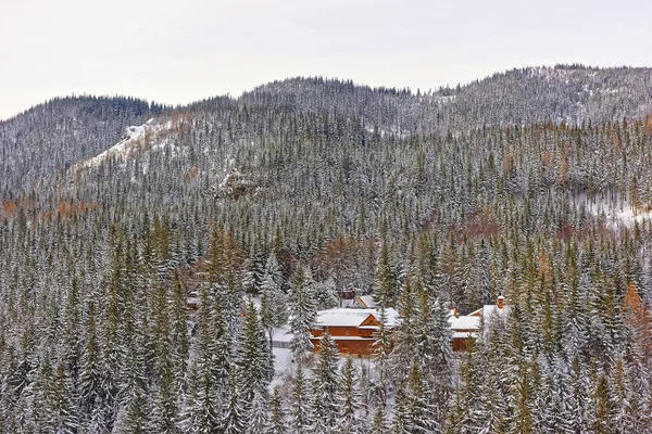 Houses in the Forest in Kasprowy Wierch of Zakopane in Tatras in winter