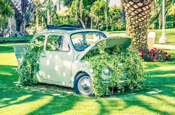 Old little wedding car on green garden near flowers and leaves