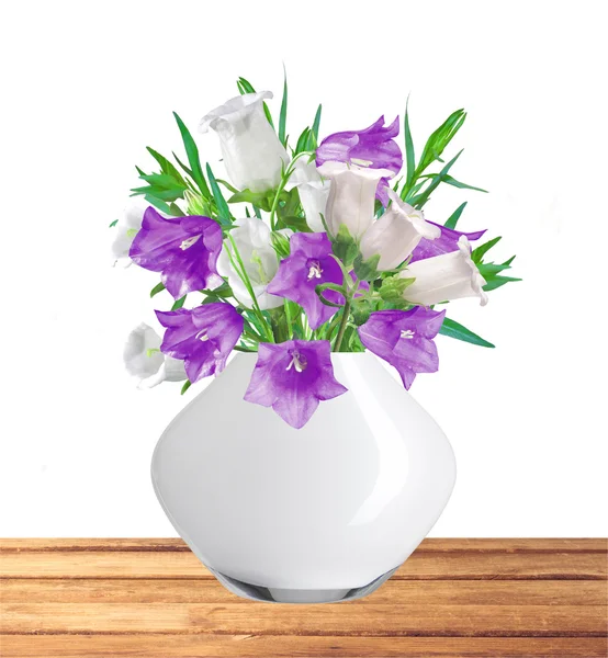 Bell Flowers in Vase isolated on white