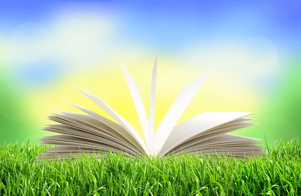 White book in green grass over bright nature background
