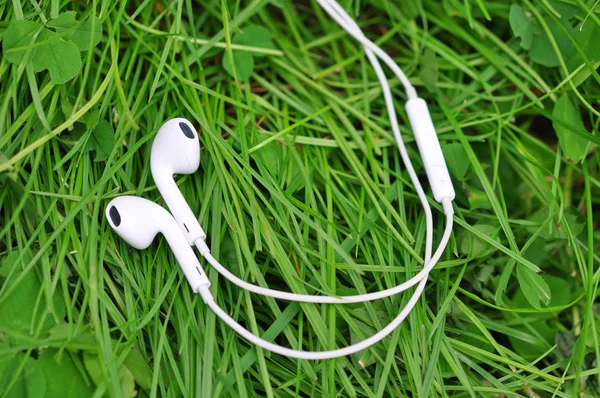 White Headphones, on the Green Grass Carpet