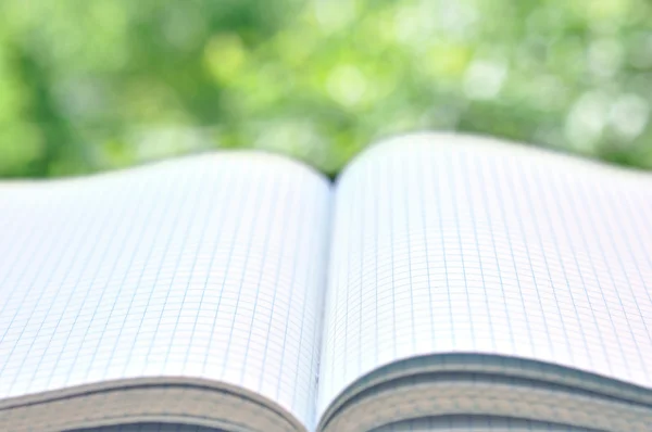 Open Book On Table In The Garden