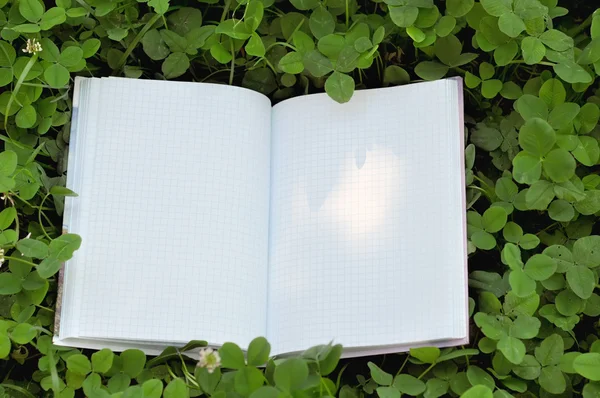 Open Blank Book on Green Clover Grass and Ray of Light on Page