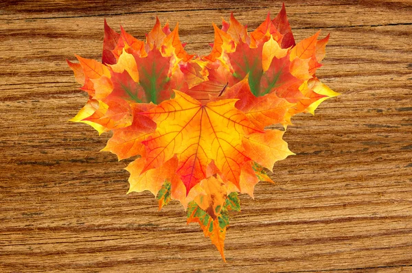 Beautiful heart from colorful autumn maple leaves on wooden text