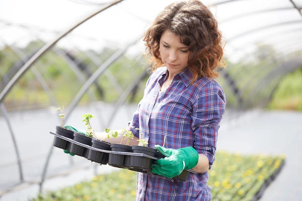 Young lady working in a plant nursery