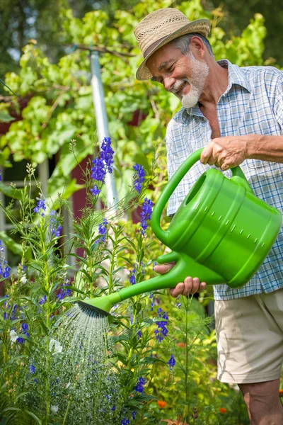 Senior man with a watering can