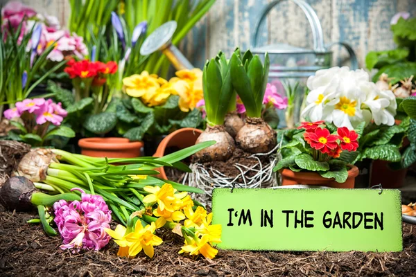 I am in the garden sign