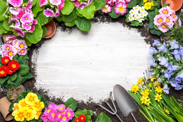 Frame of spring flower and gardening tools