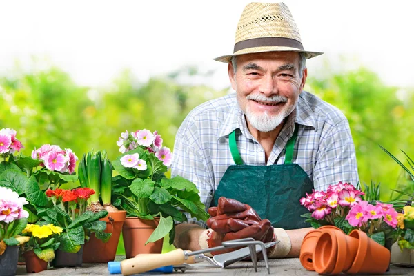 Senior man in the flower garden