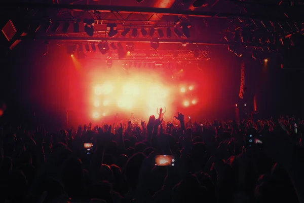 Crowd silhouettes at music concert  in front of stage