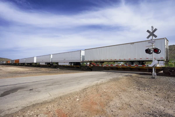 Long cargo train moving goods
