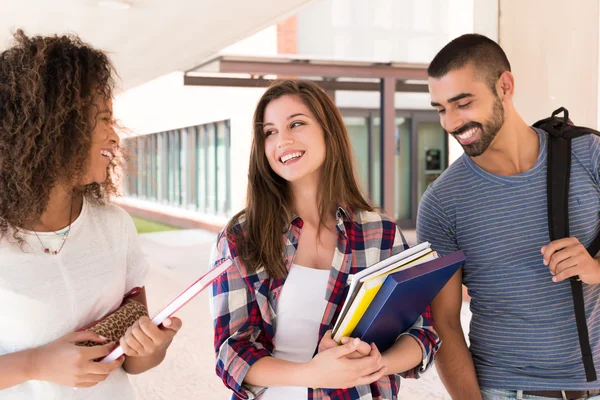 Group of students in Campus