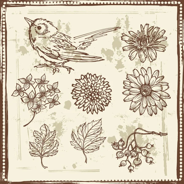 Hand drawn sketches of flowers and small bird