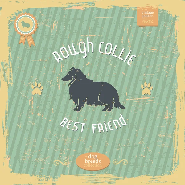 Hand drawn Rough Collie vintage typography poster