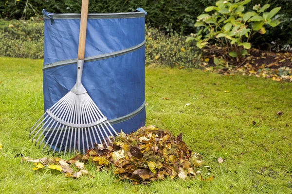 Rake standing next to blue bag with autumn leaves