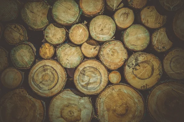 Raw Wood Logs Background