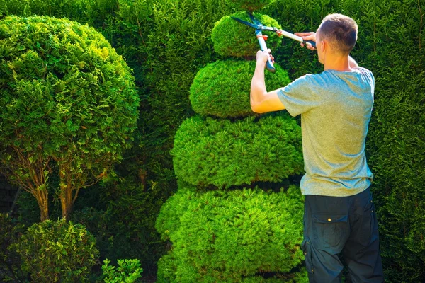 Topiary Trimming Plants