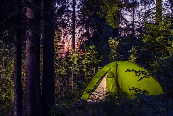 Camping in a Forest