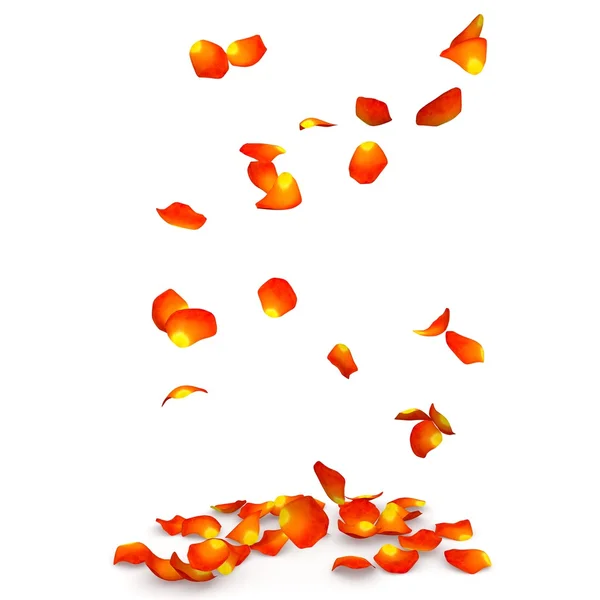 Orange rose petals flying on the floor