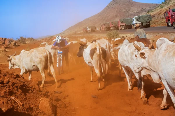 Cycling in Kenya