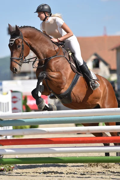 Horse jumping show