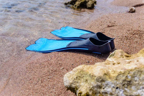 Pair of flippers on the seashore
