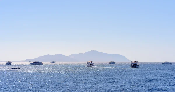 Group of tour ships and dive boats