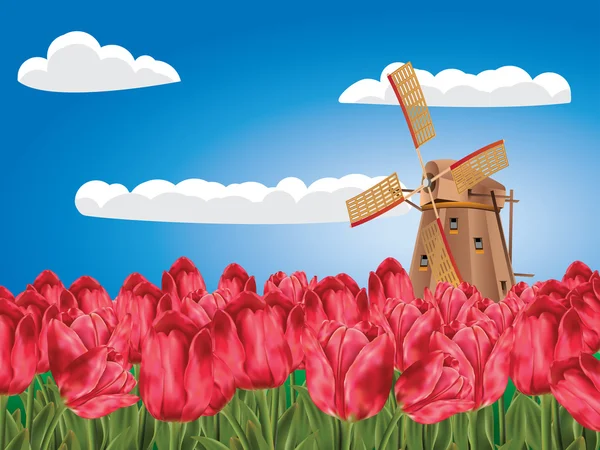 Windmill and Tulips