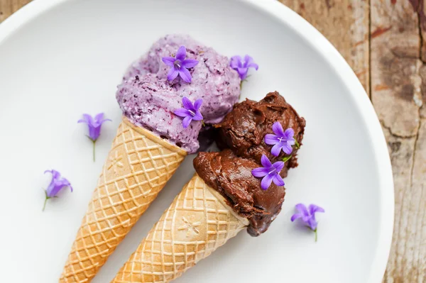 Healthy blueberry and cocoa vegan icecream