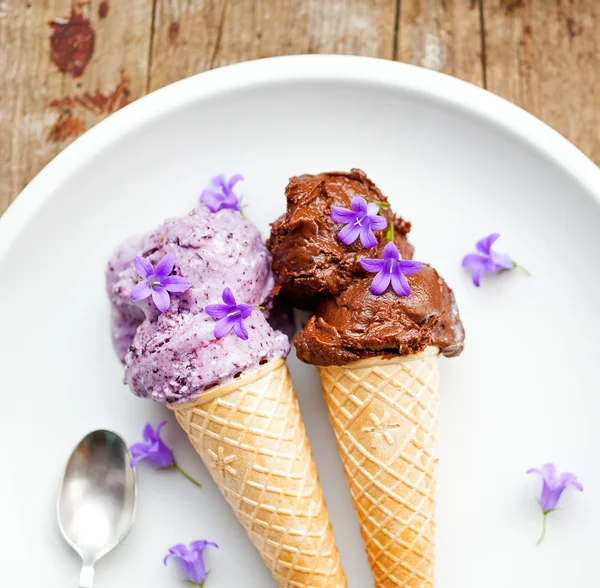 Healthy blueberry and cocoa vegan icecream