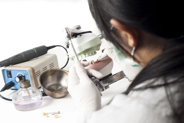 Dental technician working with articulator