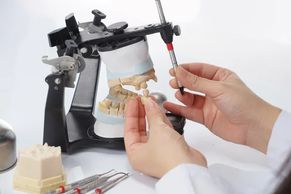 Dental technician working with articulator in dental laboratory