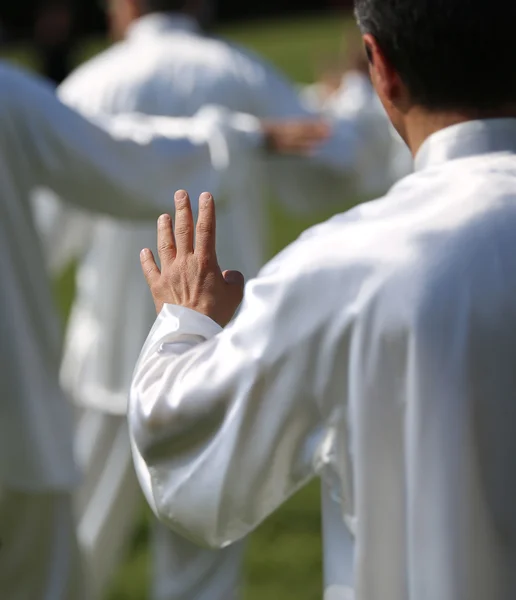 Hand of martial arts master Tai Chi with many followers