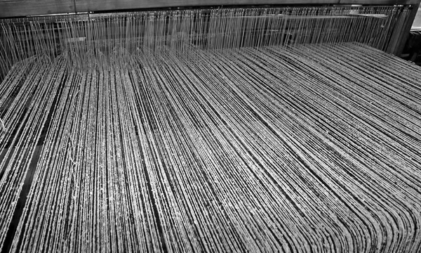 Twisted woolen threads in the industrial weaving loom
