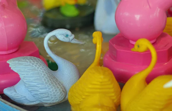 Swans float on the water to fish for good luck charms