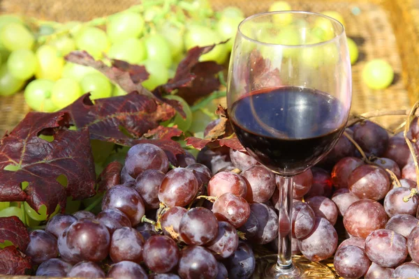 Glass of red wine with  bunch of black and white grapes