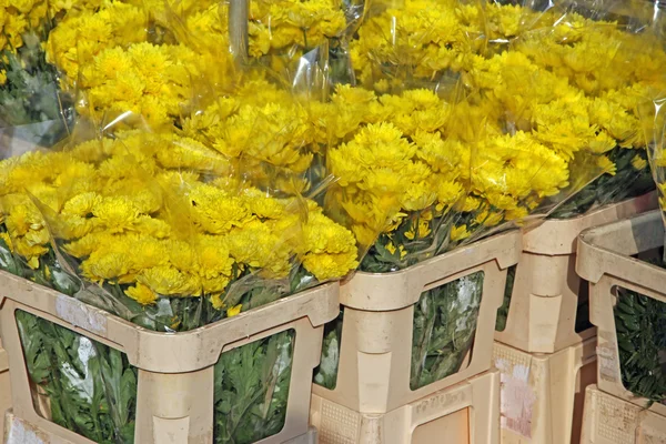 Great bunch of flowers for sale by wholesale florist in the flow