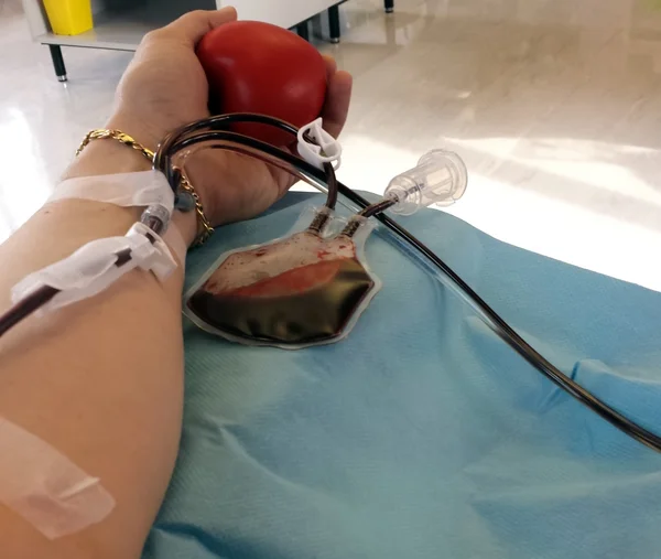 Blood donor during the blood transfusion and donation