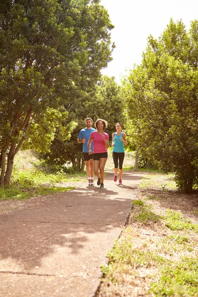 Joggers on paved running trail