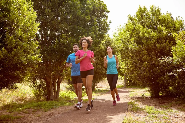 Three joggers on running trail