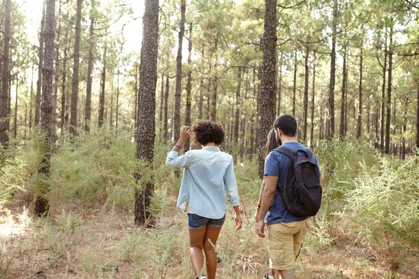 Friends walking pine forest trail