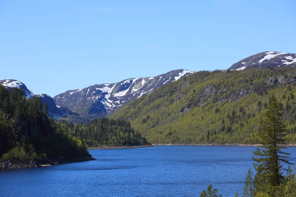 Summer Norway landscape