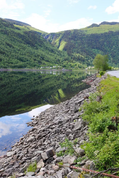 Summer Norway landscape