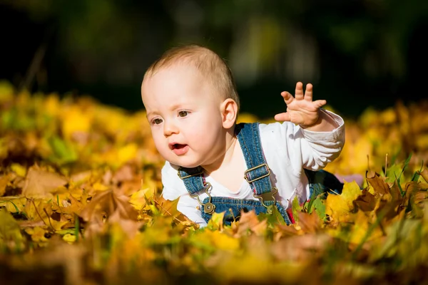 Happy childhood - fall sunny day