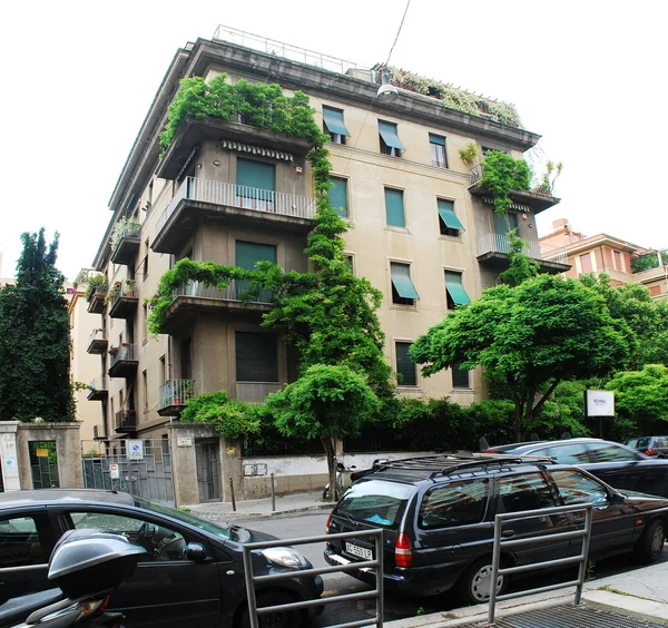 Rome city old house and green trees