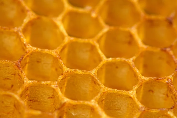 Honeycomb wax cell detail texture background