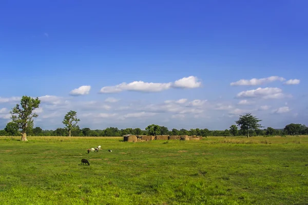 African landscape with village in Ghana near Wechiau