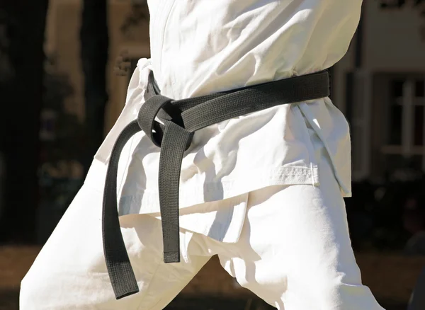 Black belt with a combat sport, close up on a fighter